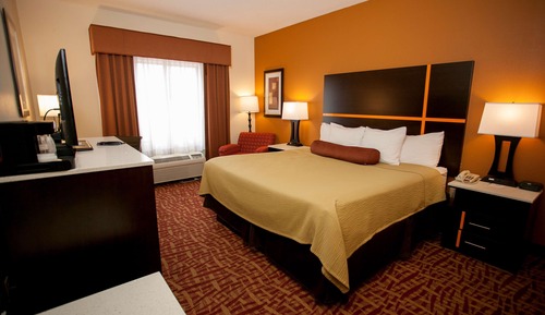 Standard Room, 1 King Bed, Non Smoking, Refrigerator & Microwave