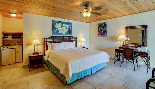 Standard Single Room, 1 King Bed