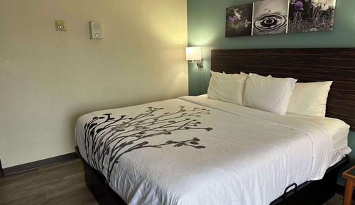 1 King Bed, Business Room, Efficiency, Suite, Nonsmoking