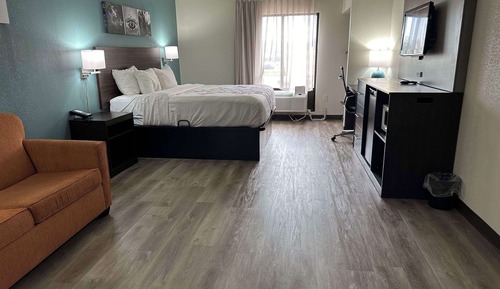 Business Suite, 1 King Bed, Non Smoking (Efficiency)