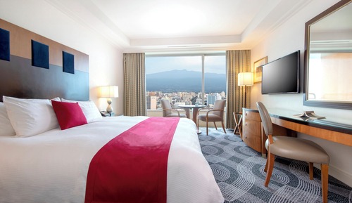 Superior Double Room, Mountain View
