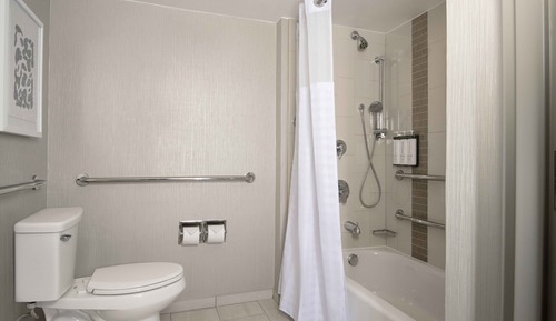 Room, 1 King Bed, Accessible, Bathtub