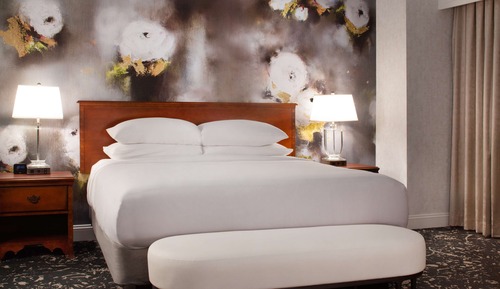 Junior Suite, 1 King Bed (Pure Wellness)