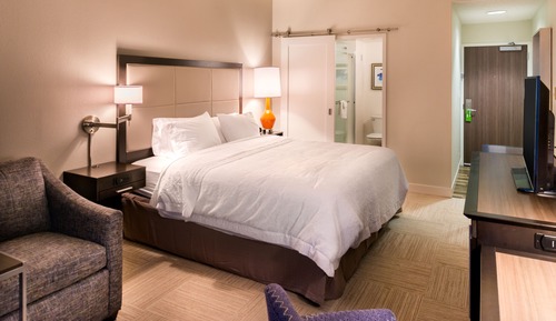 Room, 1 King Bed, Accessible, Non Smoking (Roll-In Shower)