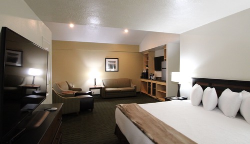 Executive Suite, 1 King Bed with Sofa bed (Executive Suite Walk-in Shower)
