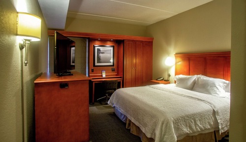 Room, 1 King Bed, Accessible, Non Smoking