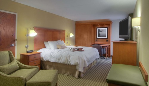 Room, 1 King Bed, Non Smoking