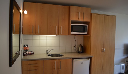 Standard Studio, Non Smoking, Kitchenette (Studio Queen)