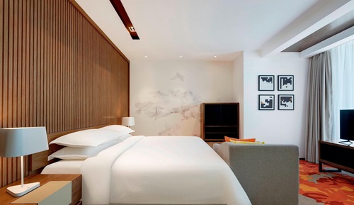 Room, 1 King Bed