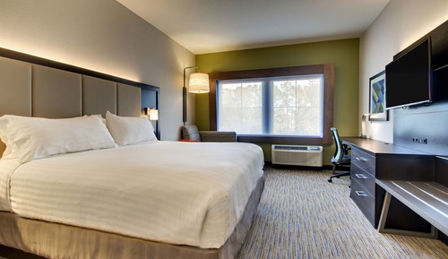 Suite, 1 King Bed, Accessible (Accessible Tub)
