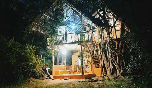 Deluxe Tree House, 1 Bedroom, Balcony, Garden View
