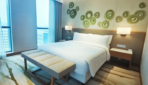 Premium Room, 1 King Bed (Bath Shower Combination)