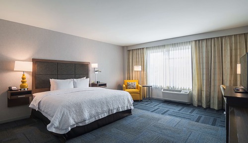 Room, 1 King Bed, Accessible, Non Smoking