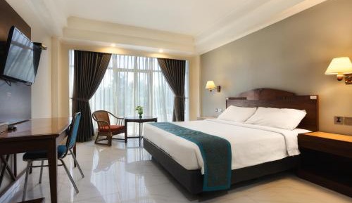 Superior Double or Twin Room