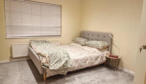 Superior Family Room