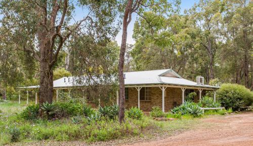 Premier Suite Single Fully Self Contained - Pet Friendly