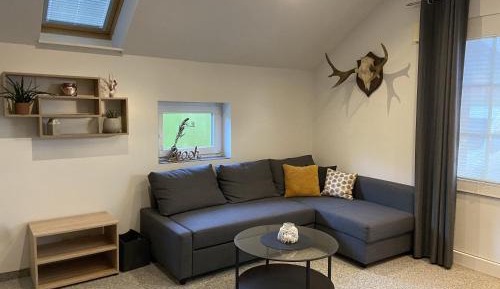 Two-Bedroom Superior Apartment