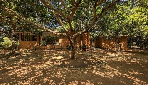 King Room with Balcony