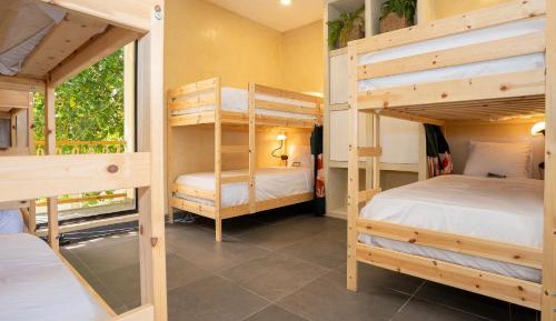 Single Bed in Dormitory Room