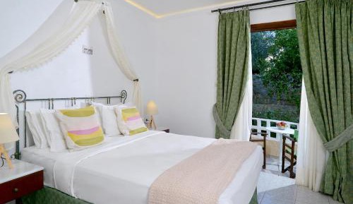 Economy Studio with Garden View