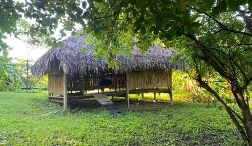 Mixed Dormitory Room