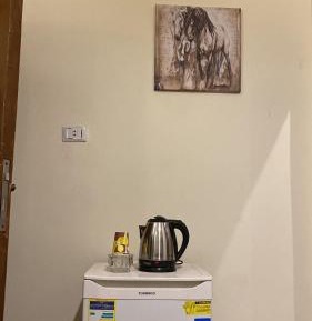 Large Double or Twin Room