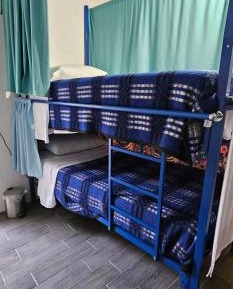 Bed in 8-Bed Mixed Dormitory Room