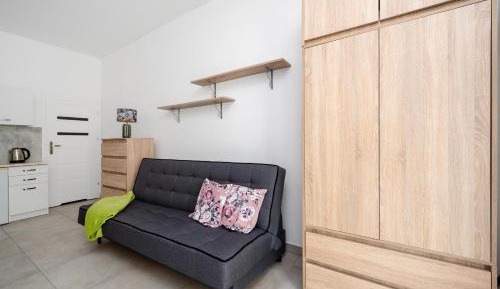 Studio with Sofa Bed