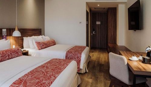 Executive Double Room with Two Double Beds