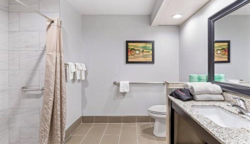 Accessible King Suite with Roll-In Shower and Sofabed