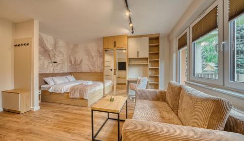 One-Bedroom Deluxe Apartment