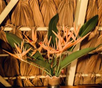 Bungalow with Garden View
