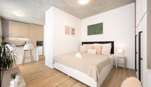 Superior Apartment with Balcony