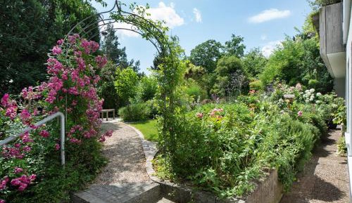 Superior One-Bedroom Apartment