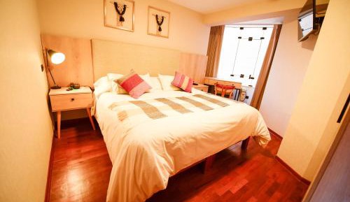 Double or Twin Room