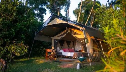 Tent