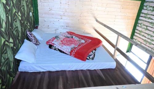 Mixed Dormitory Room