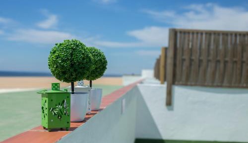 One-Bedroom Apartment with Sea  View and Terrace