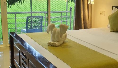 Double Room with Terrace