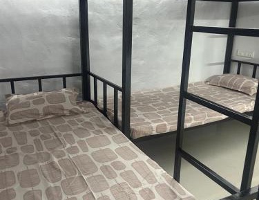 Bed in 4-Bed Mixed Dormitory Room