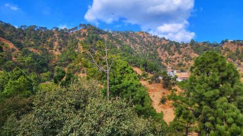 King Room with Balcony