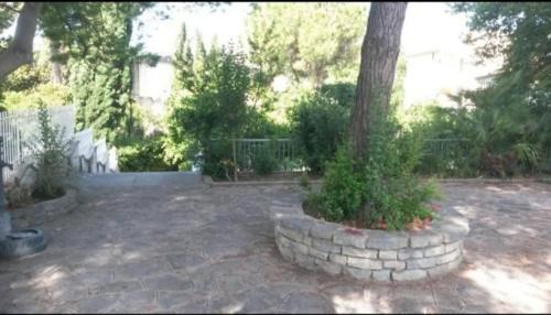 Villa with Garden View