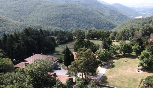 One-Bedroom Apartment with Garden View