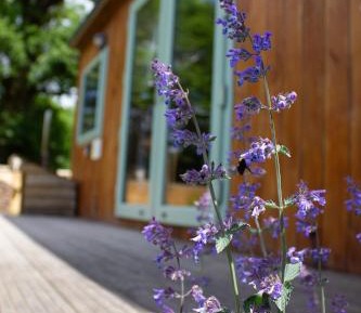 King Room with Garden View