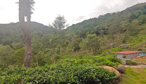 Double Room with Mountain View