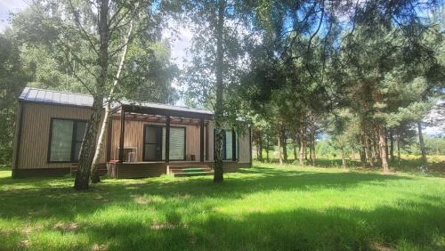 Mobile Home