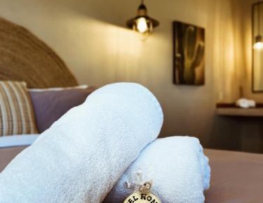 Studio with Garden View