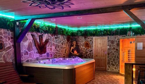 One-Bedroom Apartment with Spa Bath