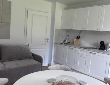 One-Bedroom Apartment with View
