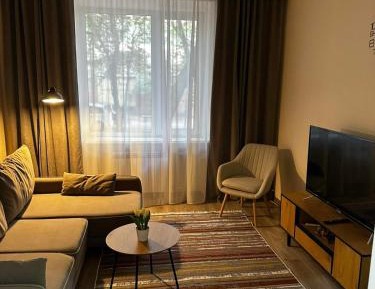 Deluxe One-Bedroom Apartment